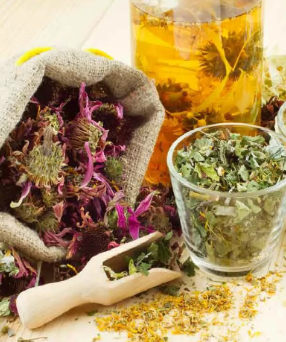 Herbs for potency