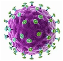 What is human papillomavirus infection